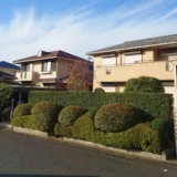 【一般住宅】庭木の剪定